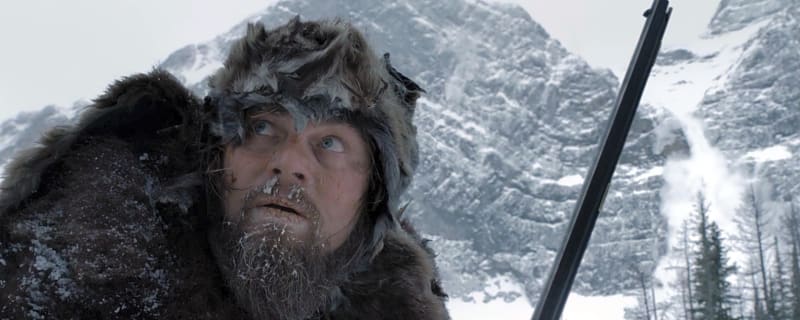 23 films that do the best job highlighting wildlife