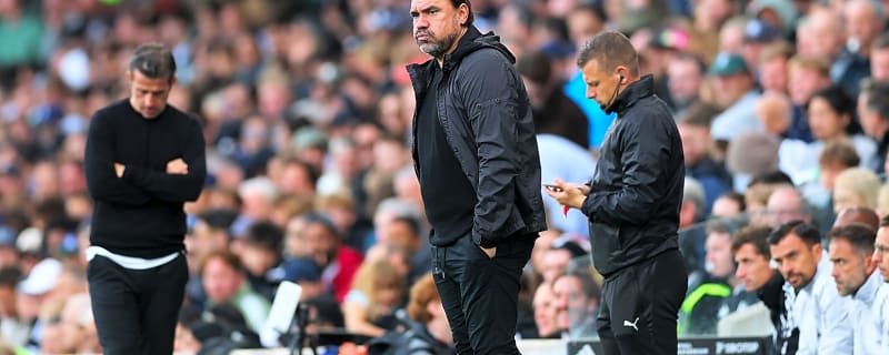 Leeds fan arrested after what he did to Daniel Farke