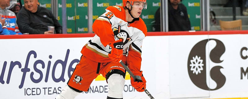 Should the Flames target Ducks defensemen Pavel Mintyukov in a trade?