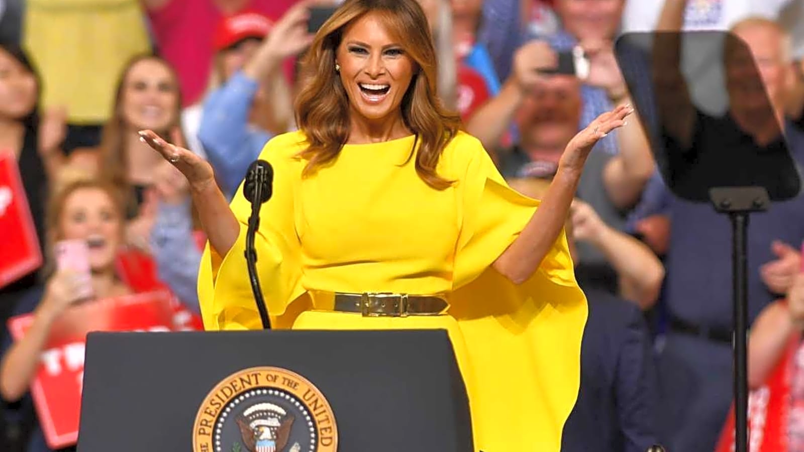 Melania Trump Inspired Controversial Netflix Character