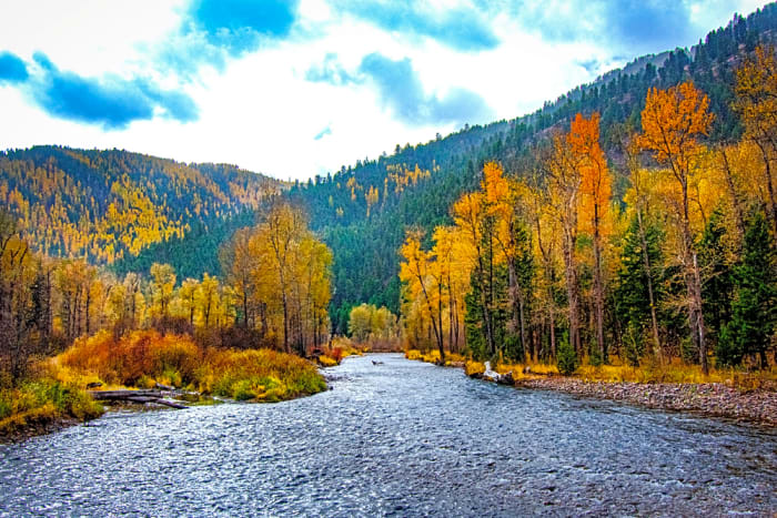 Western Montana