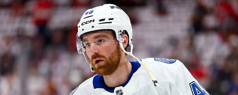 Predators add to defensive core with a two-year deal