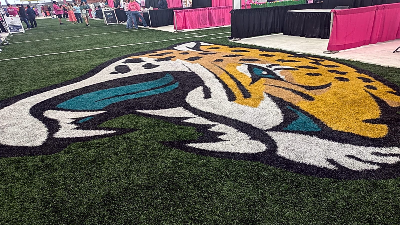 Jaguars sign QB son of former coach