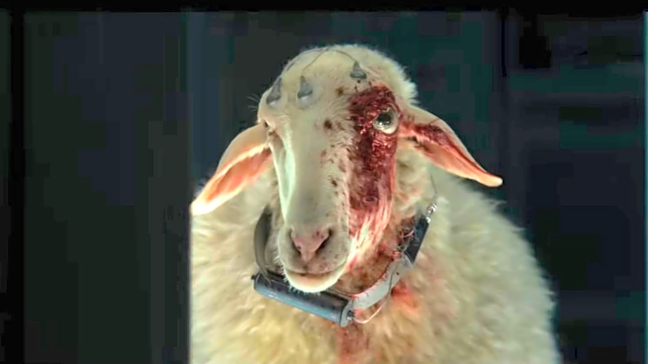 フェイスジェル・ゲル Alien Sheep judgy-sheep-true-star-alien-