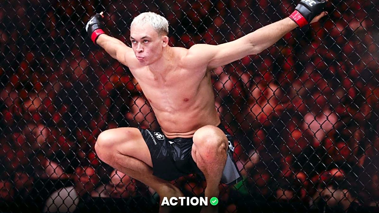 Navajo Stirling vs. Ivan Erslan Prediction, Picks, Odds for UFC 315