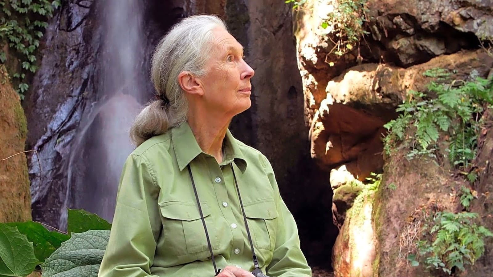 Jane Goodall, Legendary Chimpanzee Researcher, Dead at 91