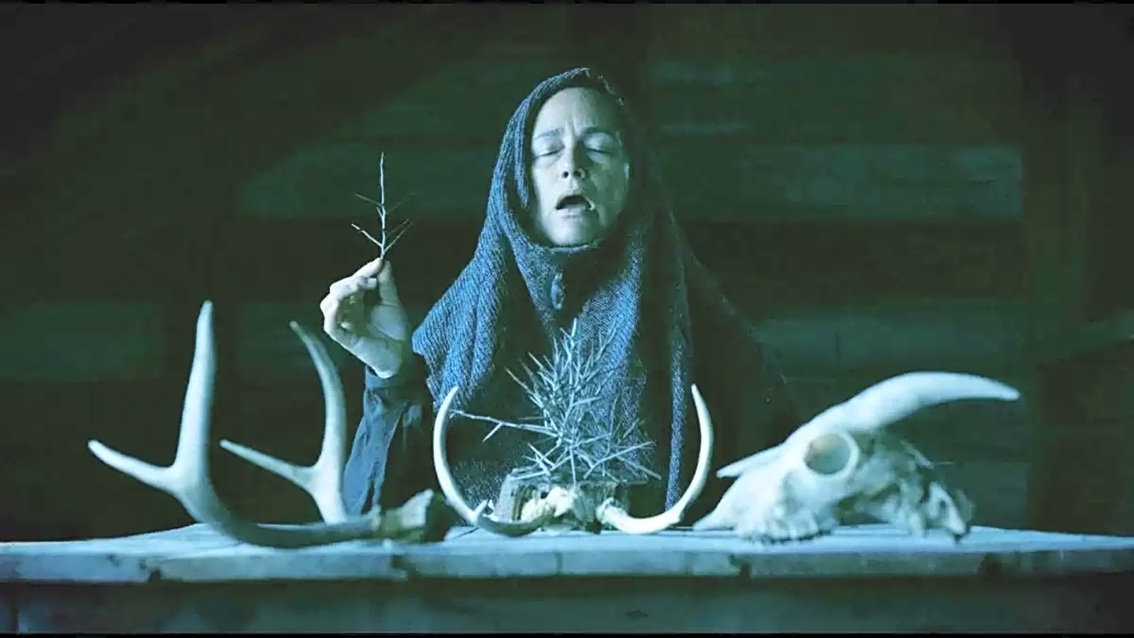 'Mother of Flies' is a witchy dark fairy tale wrapped in a body horror bow (review)