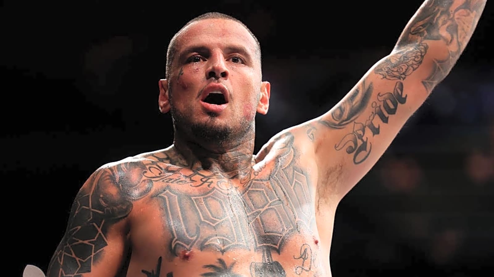 UFC Fight Night: Medic vs. Rodriguez: Preview, Date, Time