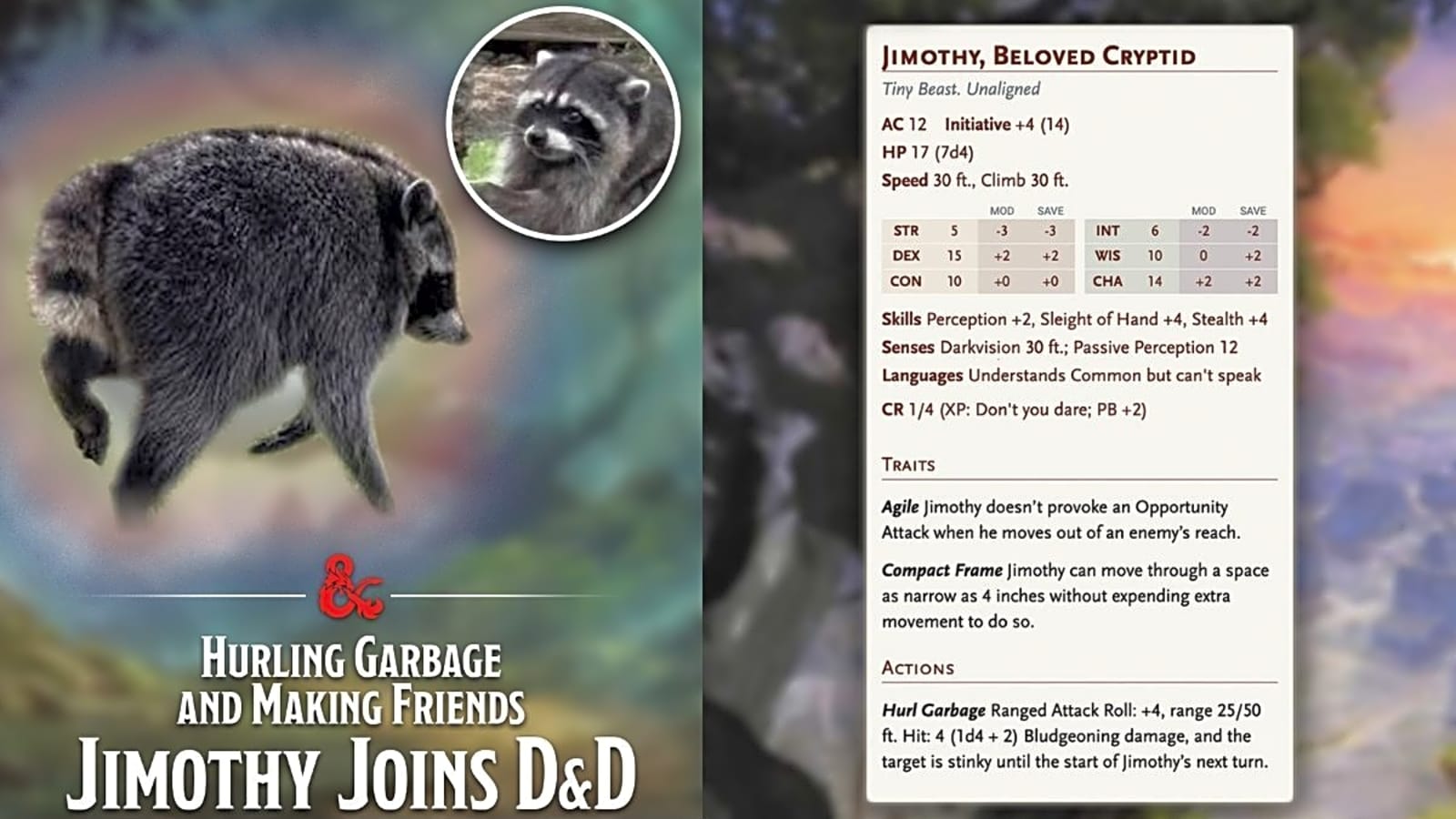 This racoon is going viral, and Dungeons & Dragons responds