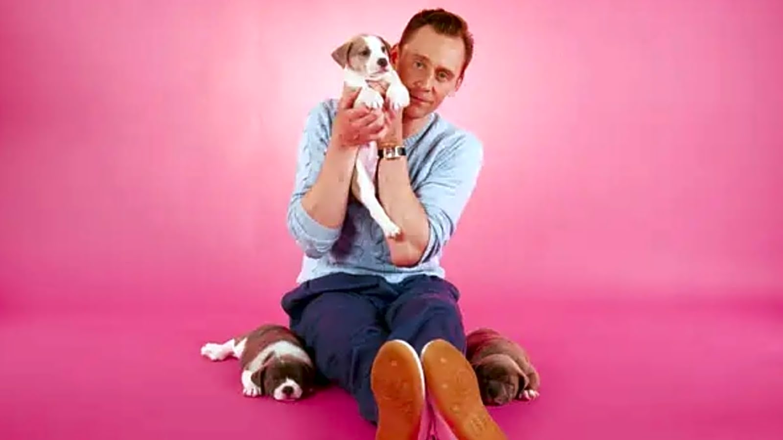 Watch Tom Hiddleston Talk THE LIFE OF CHUCK and LOKI Surrounded by Adorable Puppies