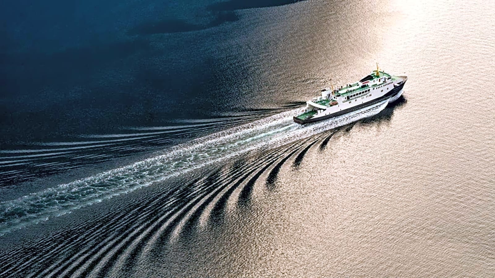 Cleaner Oceans or Cheaper Cruises? The Decision Looms