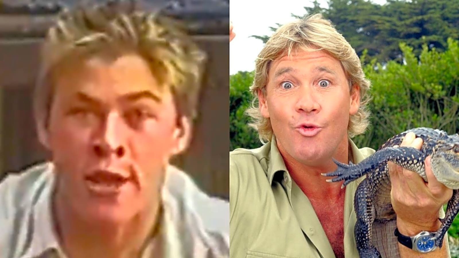 Chris Hemsworth Impersonates Steve Irwin in Throwback Home Video