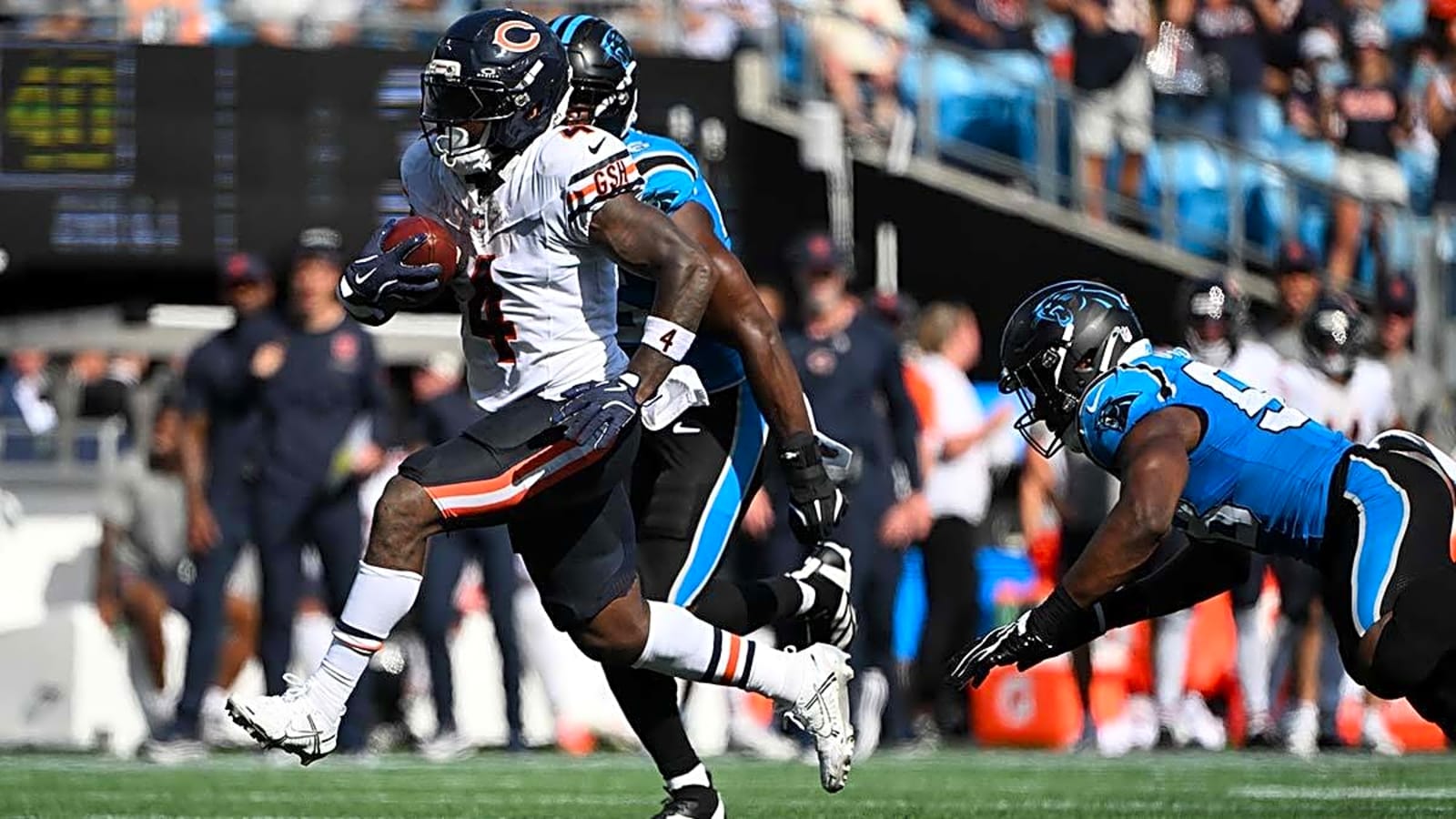 Panthers sign ex-Dolphins LB to active roster