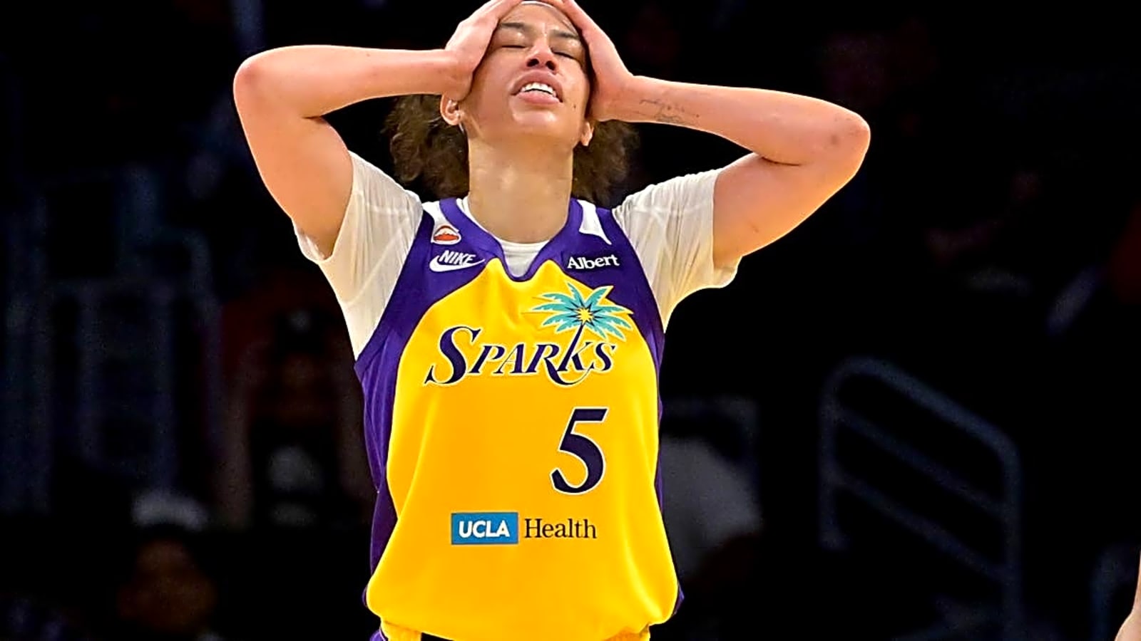 WNBA to Punish Los Angeles Sparks Star After Ejection