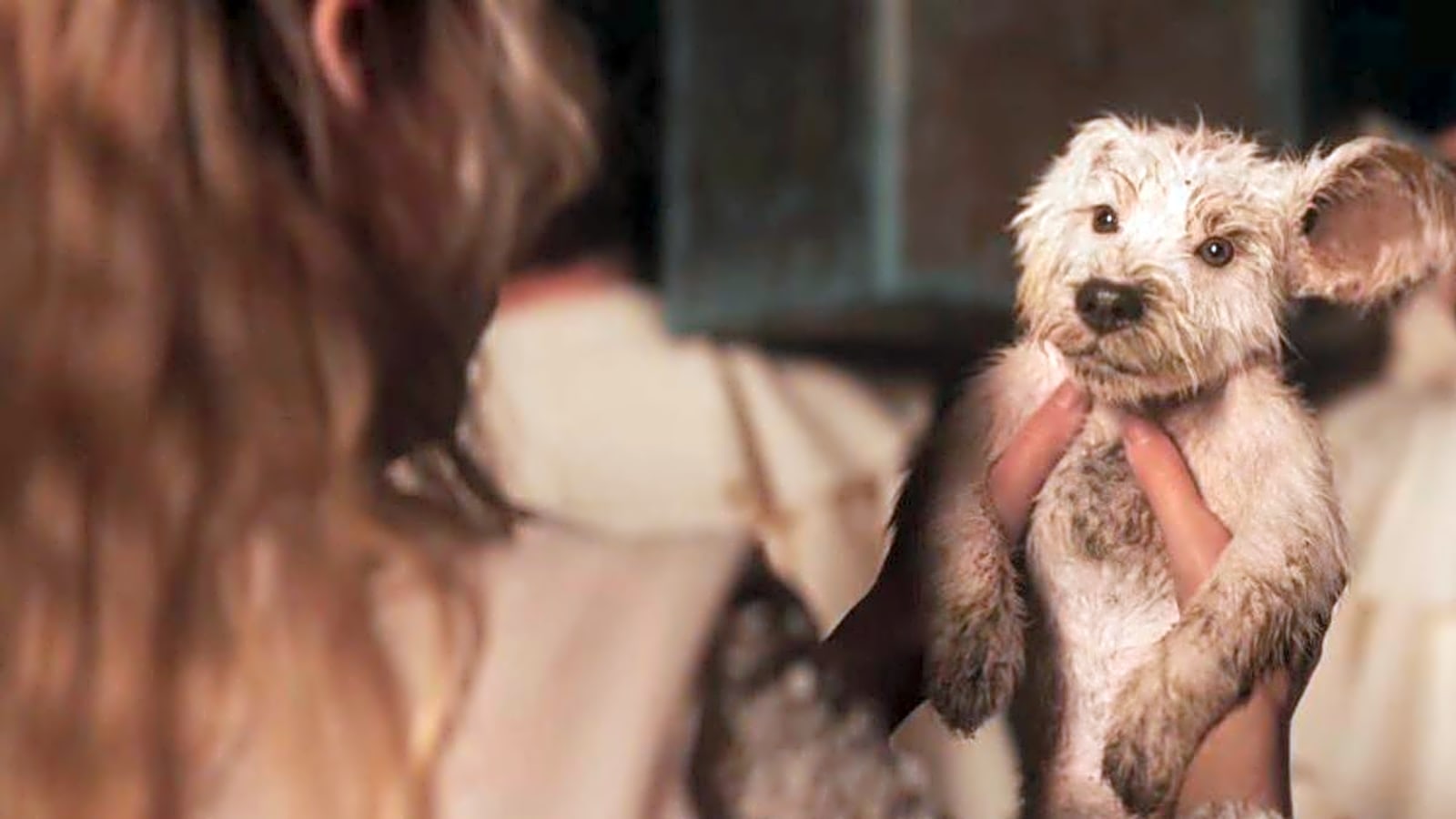 Kara meets Krypto in 'Supergirl' Super Bowl trailer