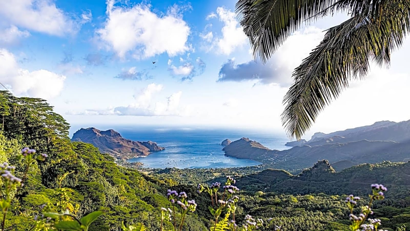 Inside the ‘Most Isolated Islands on the Planet’: The Untouched Marquesas (Video)