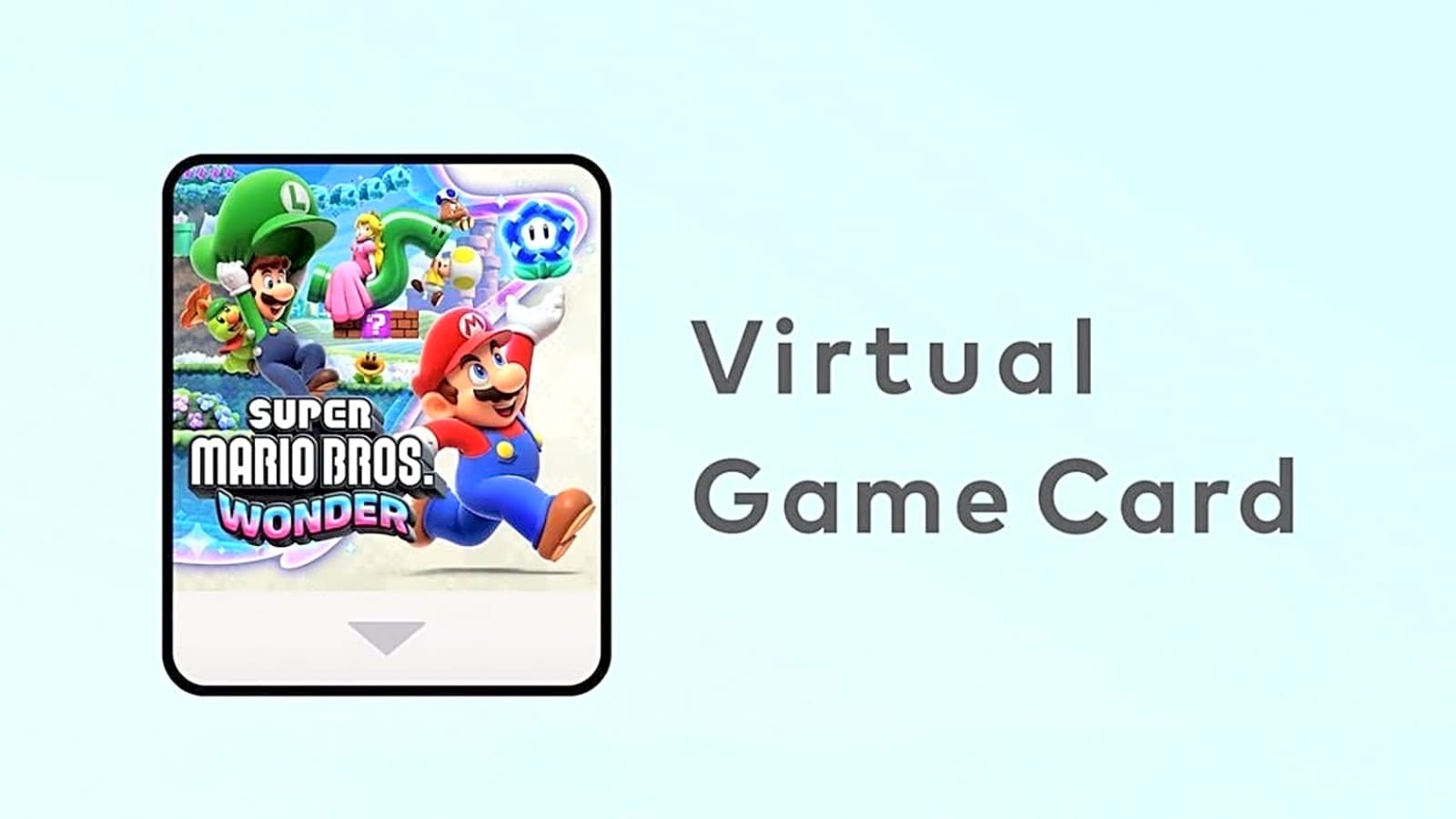 Nintendo Switch Virtual Game Card Updates Come with Interesting Privacy Functions