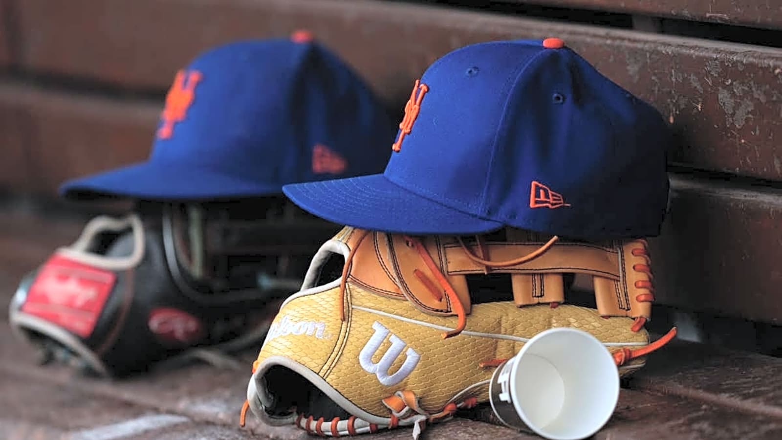 Mets Make Roster Move Ahead of Giants Series