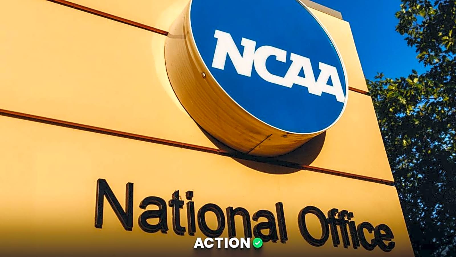 NCAA Moves to Allow Pro Sports Betting for Student-Athletes