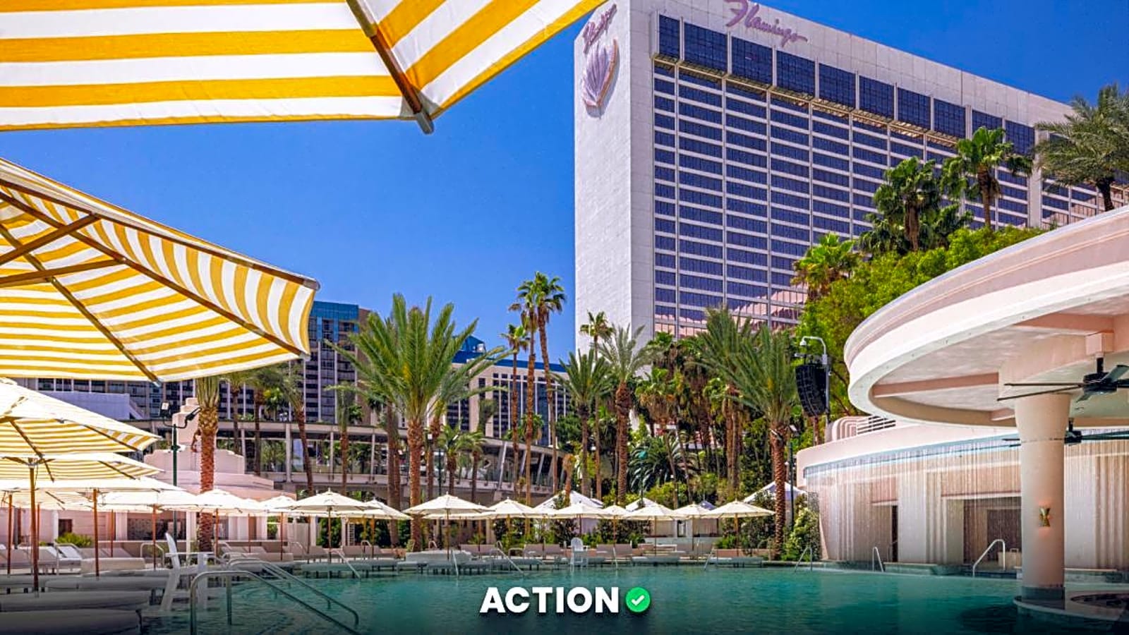 The All-New Go Pool at Flamingo Las Vegas is Now Open