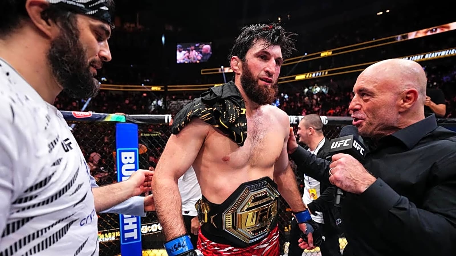 UFC Fight Night: Ankalaev vs. Guskov Preview & Storylines