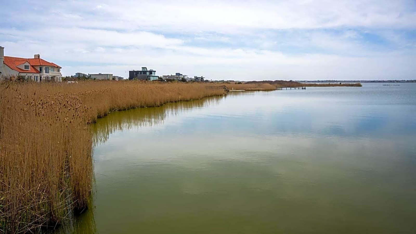 Flesh-Eating Bacteria In Long Island Waterways—Is Nothing New