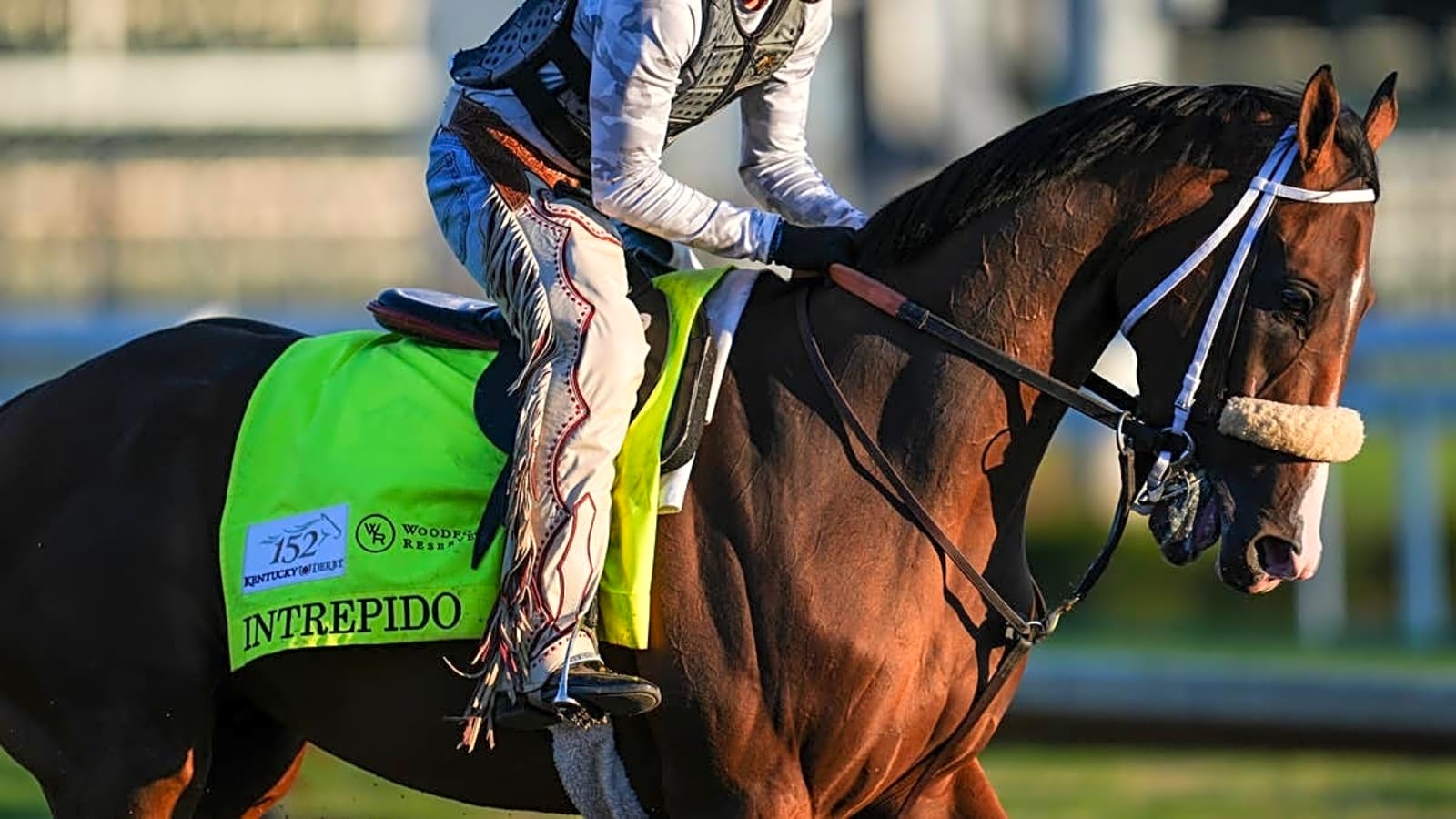 Most Expensive Horses in Kentucky Derby 2026 Field