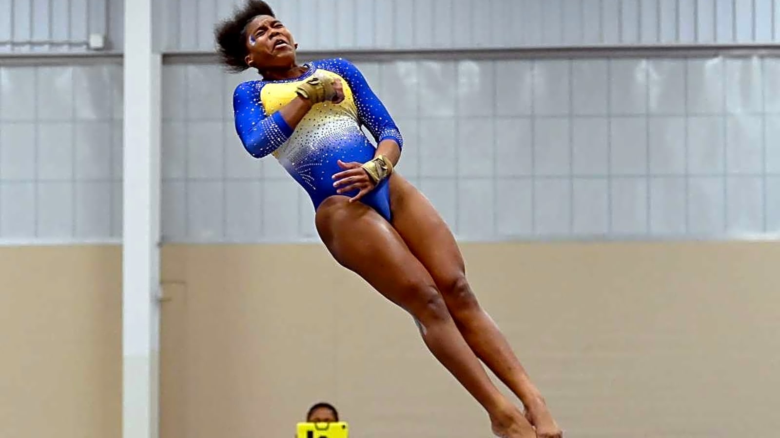 Fisk University to End Gymnastics Program