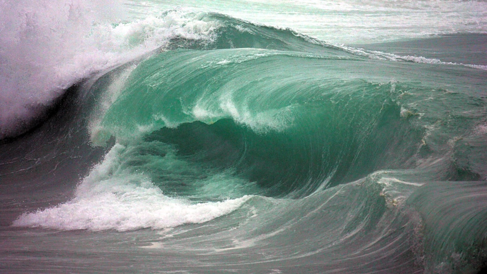 Legendary Surfer&#39;s Son Injured In Horrible Car Accident