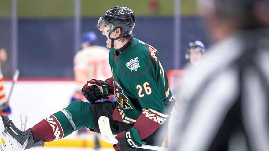 Roadrunners Report: Injuries Calls for Reinforcements, Simashev Gaining AHL Recognition, & More