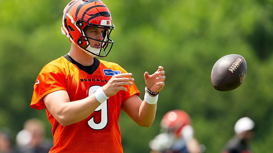 Anonymous former NFL head coach has abnormal confidence in Joe Burrow&#39;s ability to carry the Bengals