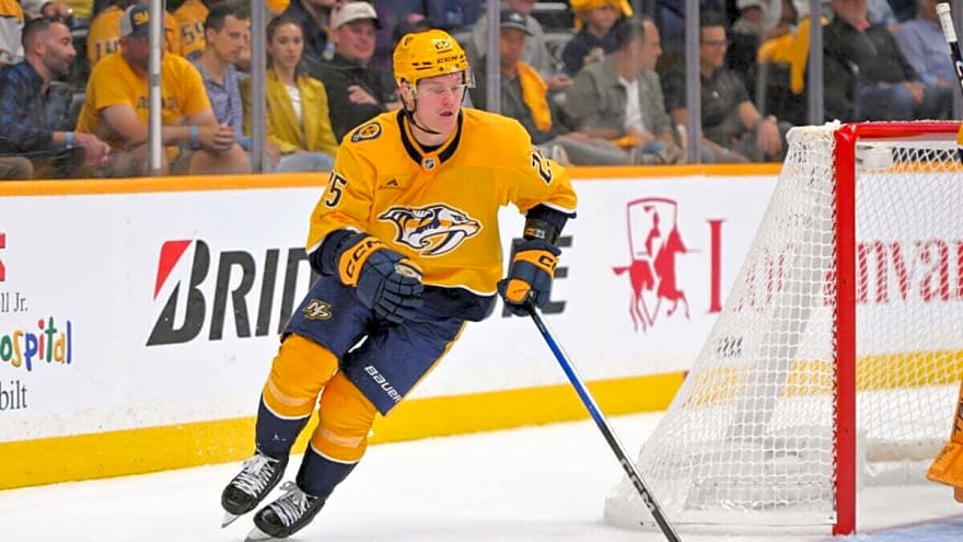 5 Nashville Predators Who Could Be on the Roster Bubble