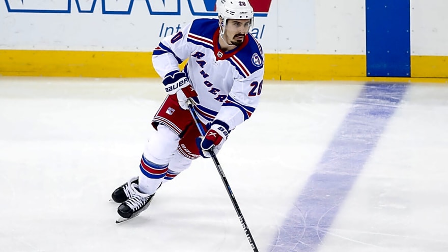 What Can the Newest Anaheim Ducks Bring to the Team?