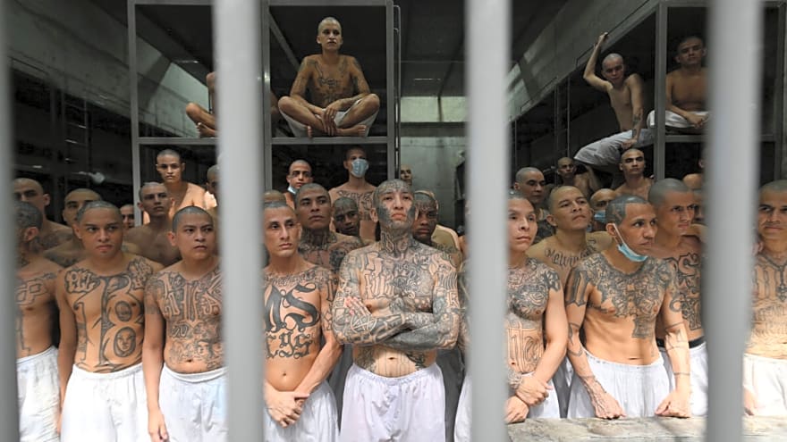 3,000 Daily Arrests: Is It Safe To Come Surf In America?
