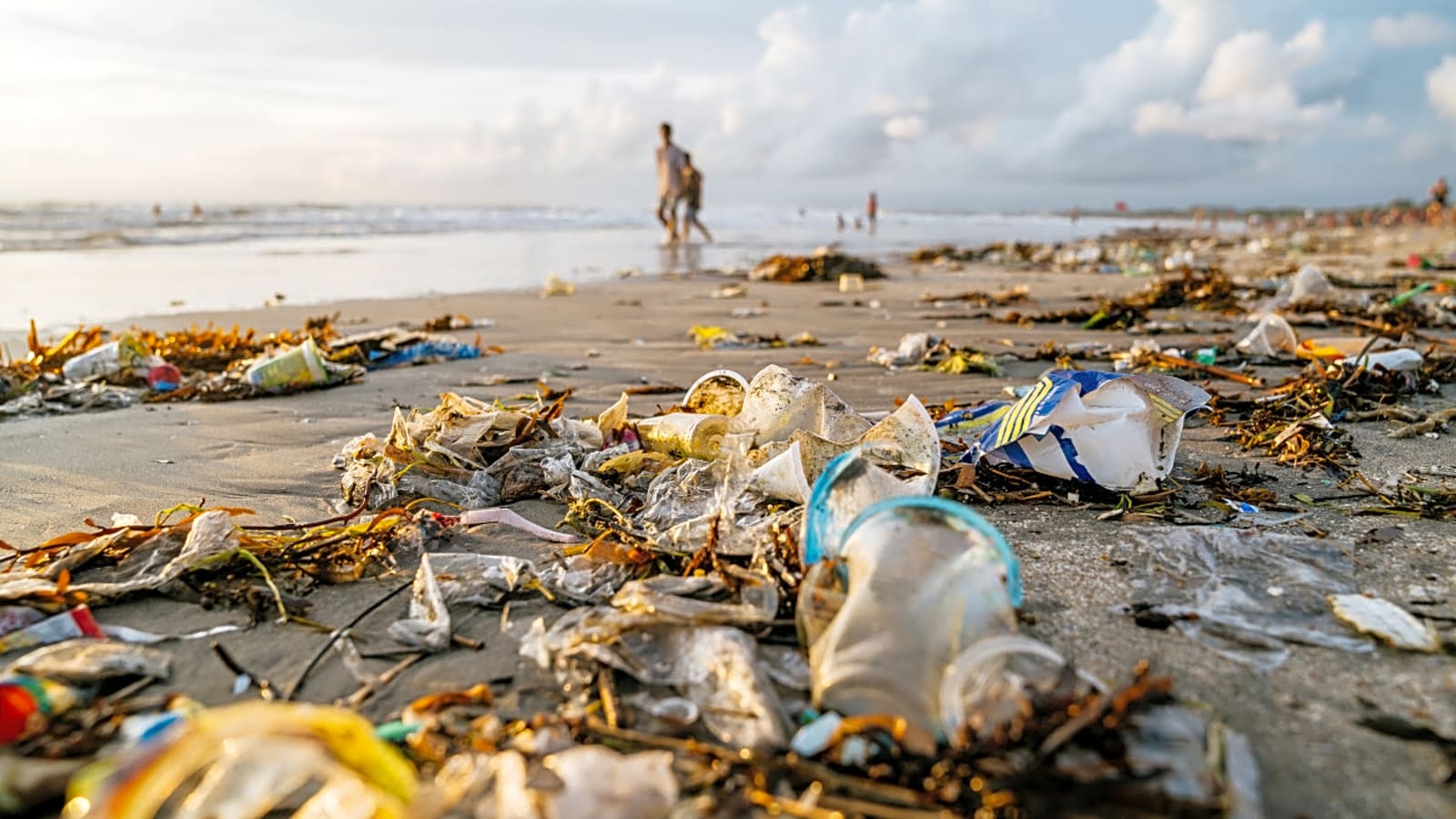 A Realistic Solution for Plastic Pollution? This Mad Surfer-Scientist Thinks So
