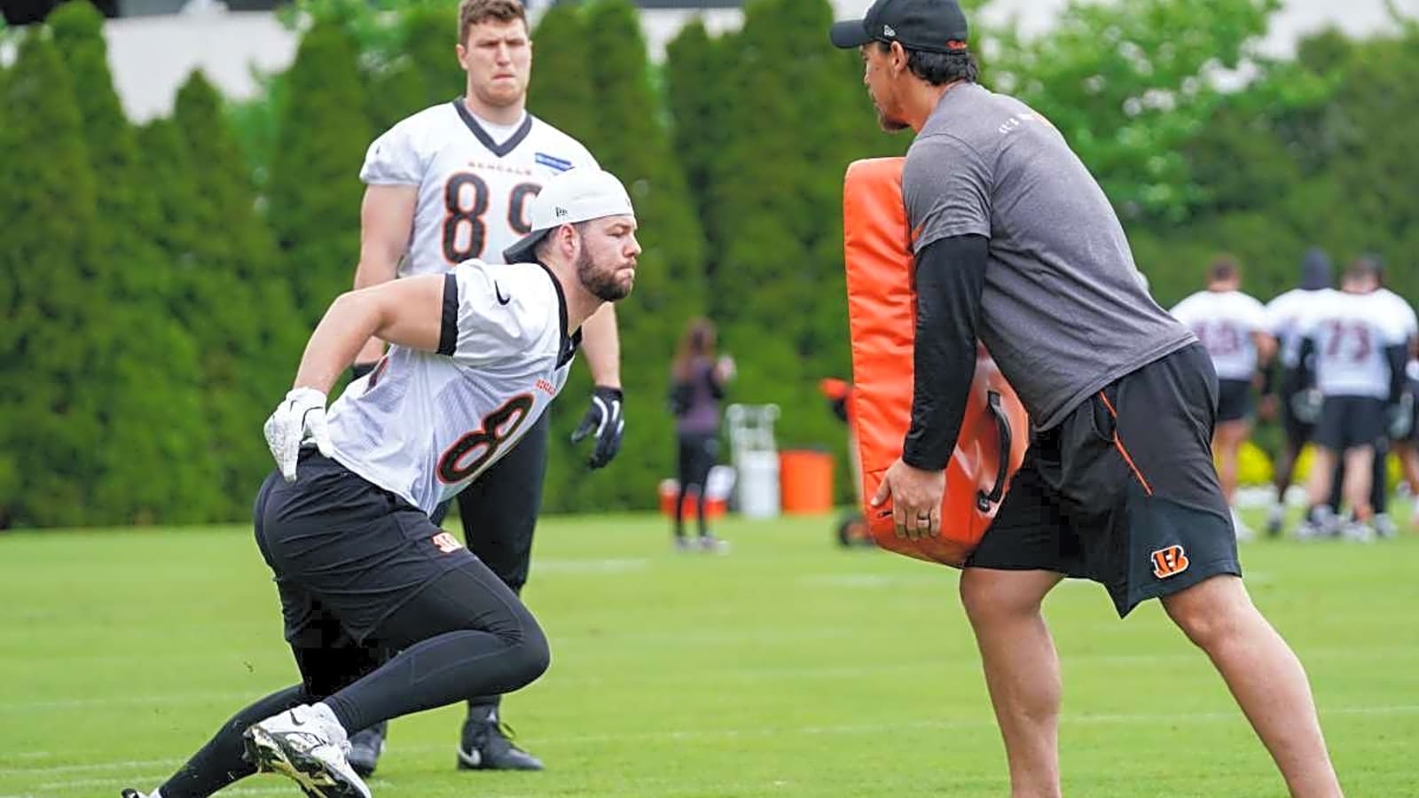 Bengals 2025 Roster Breakdown: Tanner McLachlan moving past glorified redshirt rookie season