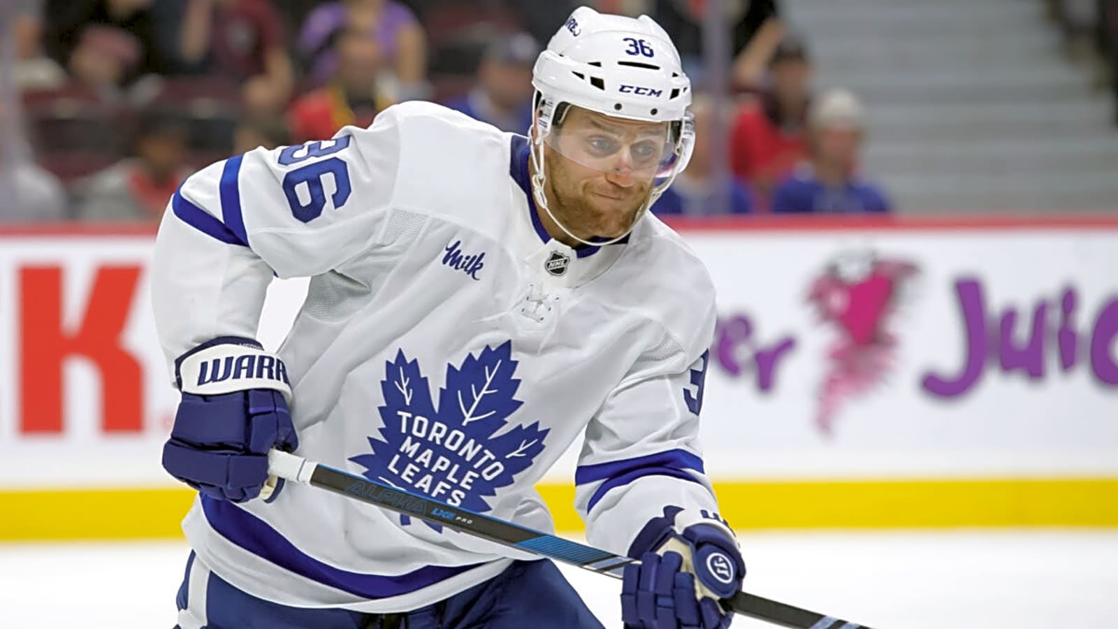 Maple Leafs News & Rumours: Roster Takes Shape, Blue Line Settled & Goalie Question