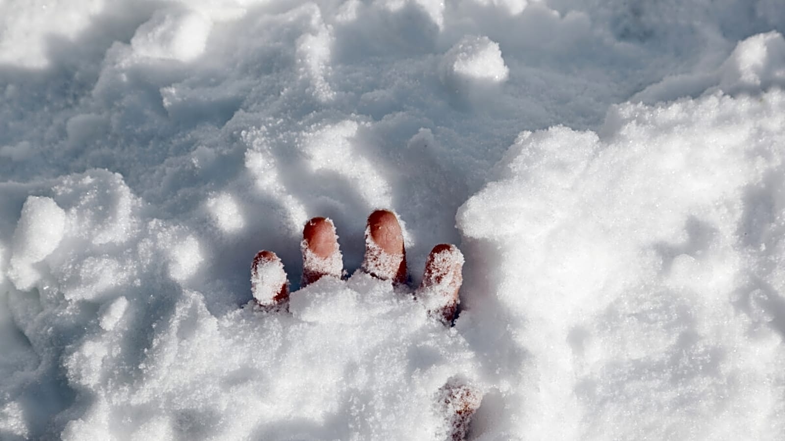 Four Skiers Buried by "Serious" Avalanche