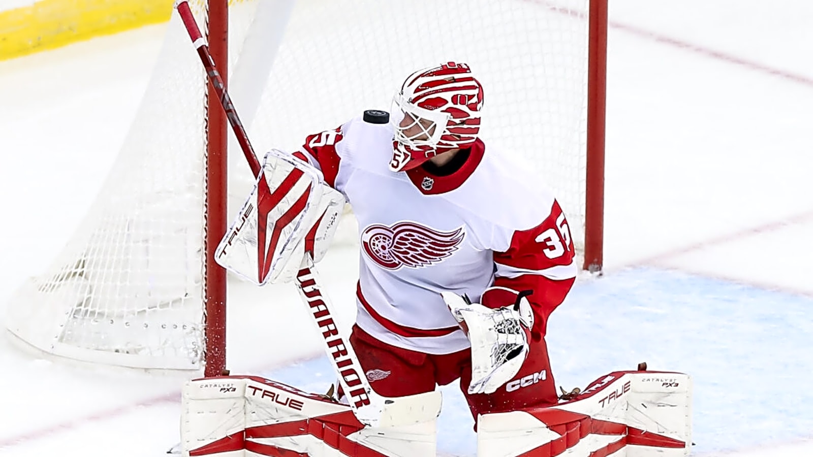 5 Potential Backup Goalie Options for the Calgary Flames