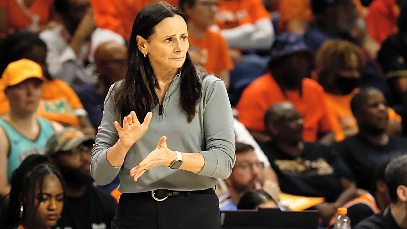WNBA Team Makes Big Coaching Change After Playoff Elimination