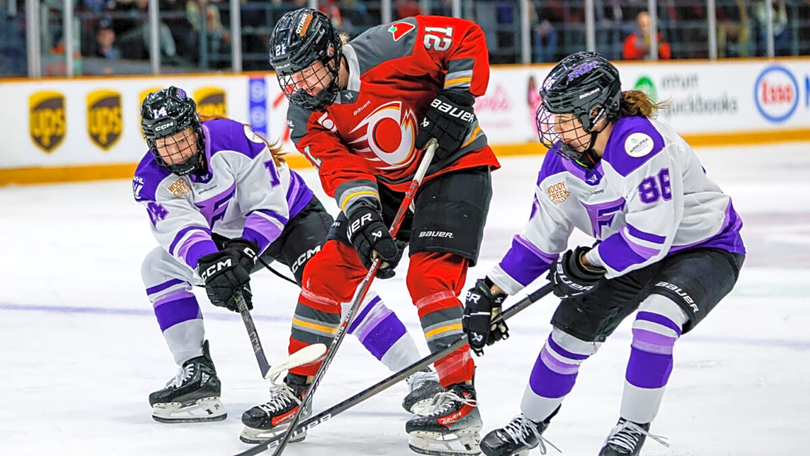 Ottawa Charge Lose Mainly Defense in Expansion Draft