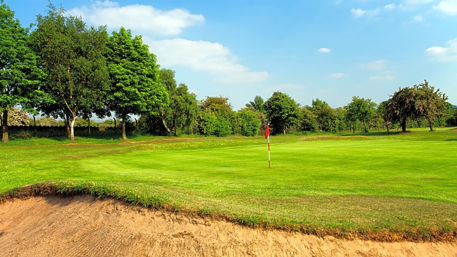 Century-Old Wine Cellar Discovered After Golf Course Sinkhole
