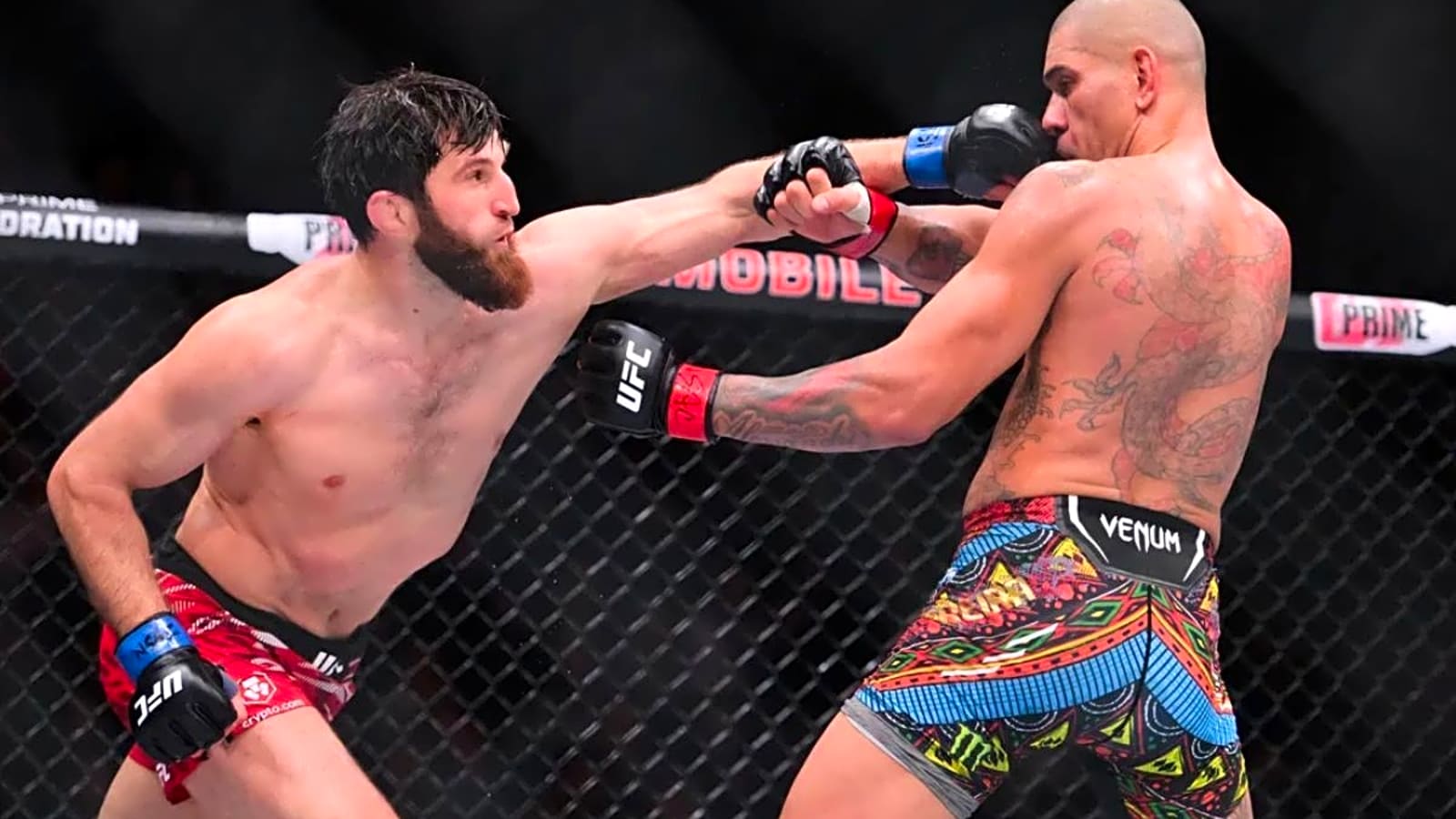 Alex Pereira Shares Concerning Health Update Days Before Magomed Ankalaev Rematch at UFC 320