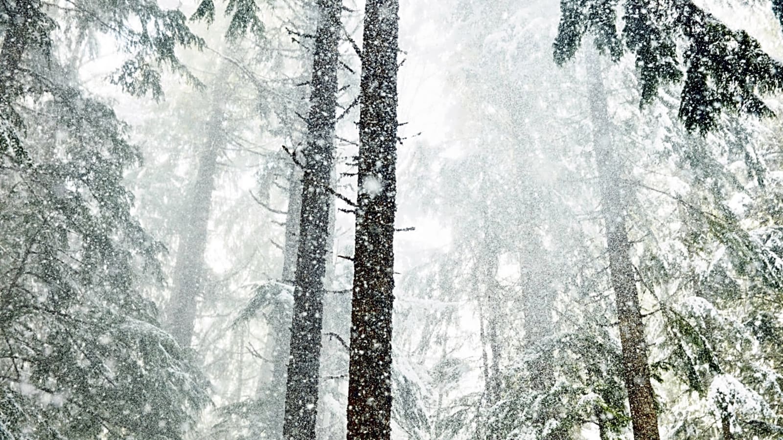 La Niña Could Be Coming. What Does That Mean for Skiers?