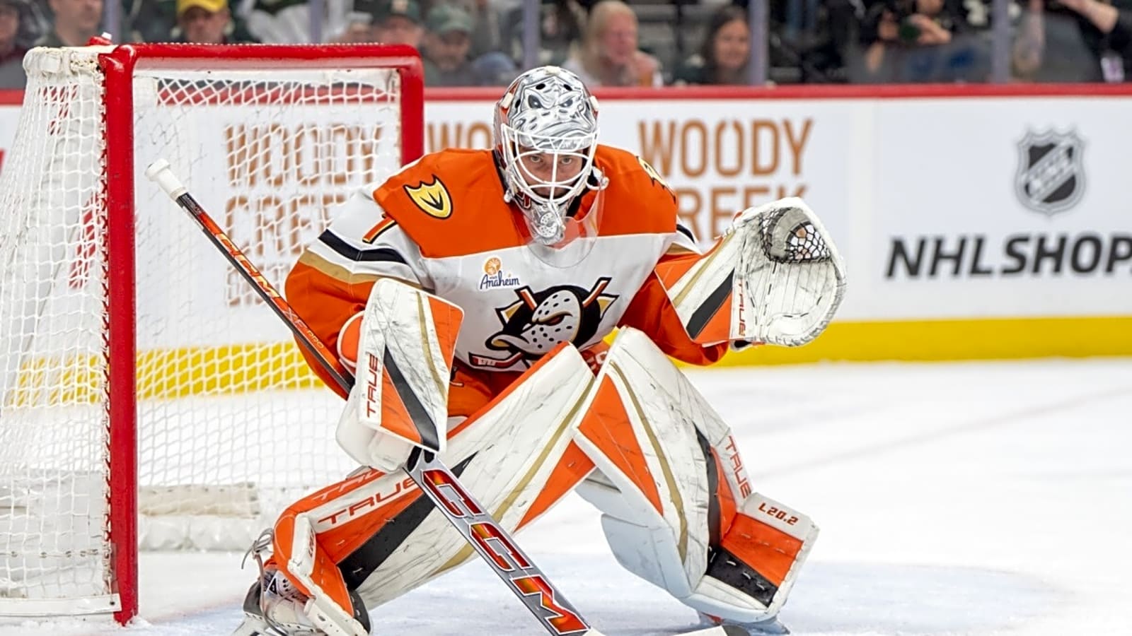 Ducks&#39; Lukas Dostal Receives Eye-Opening Prediction