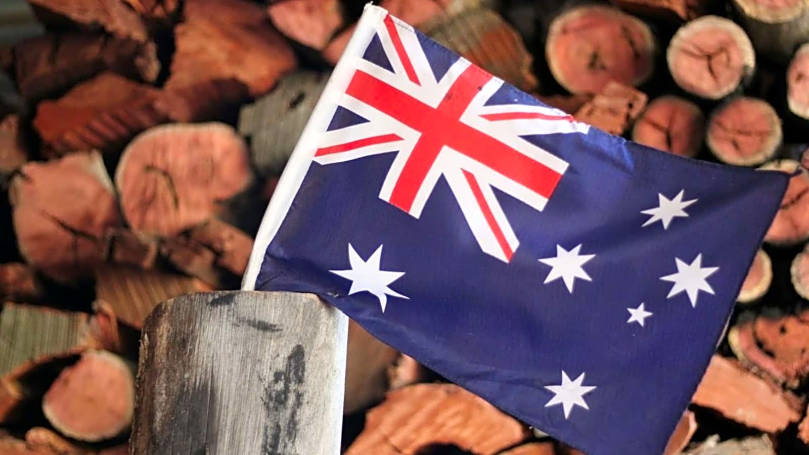 Interactive Journalism: How Australia Is Getting The Younger Generation Informed