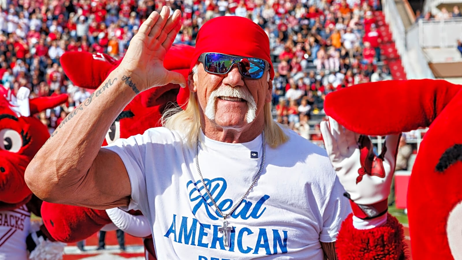 Hulk Hogan Shares Puzzling False Claim About Brock Lesnar