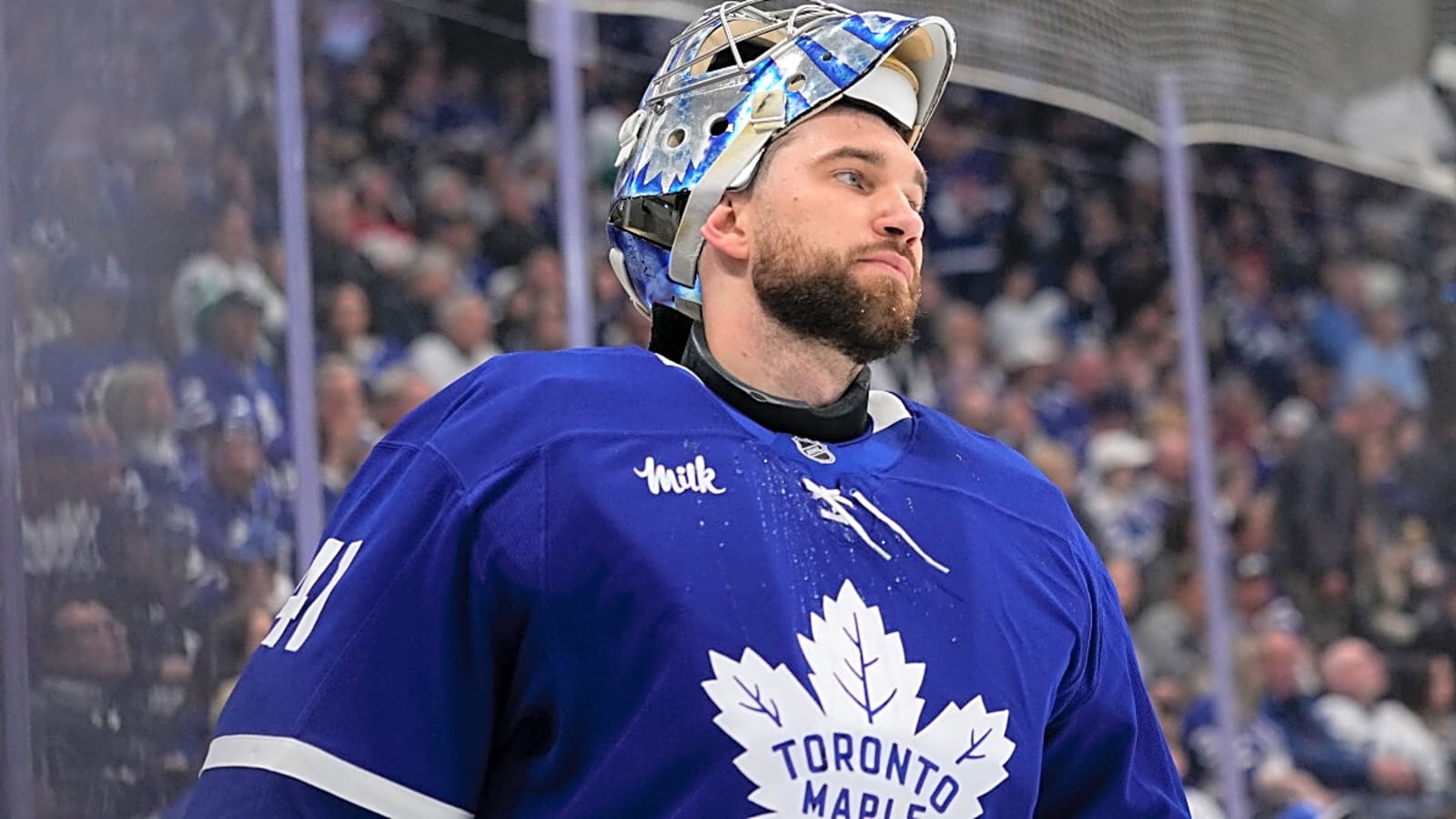 Maple Leafs Make Roster Move Amid Anthony Stolarz's Injury