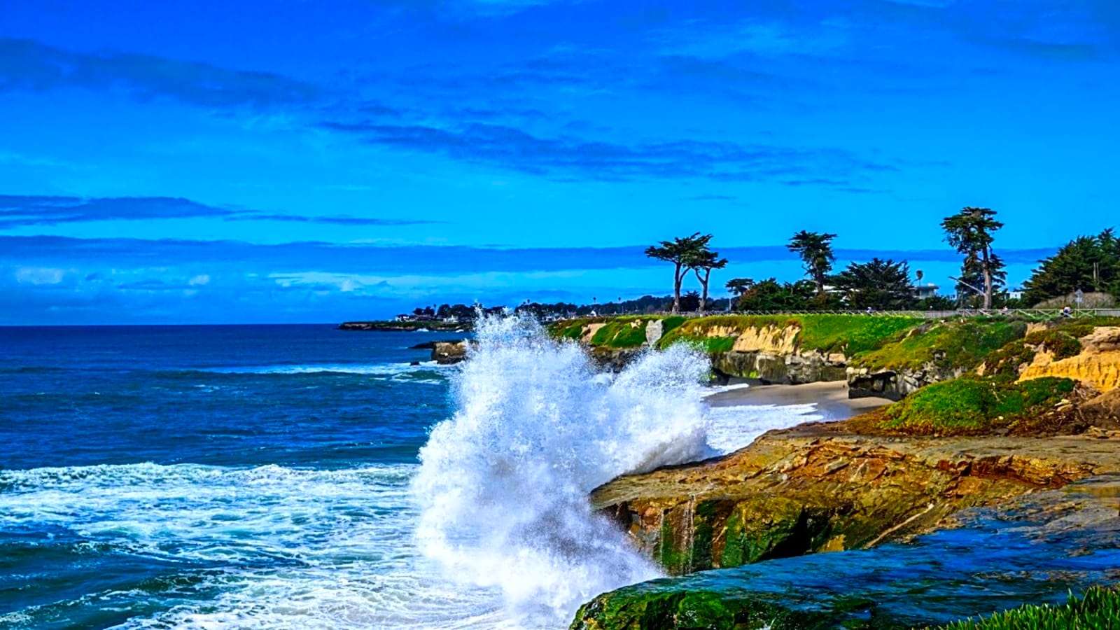 Teen Dies After Knocked Unconscious at Popular CA Surf Spot