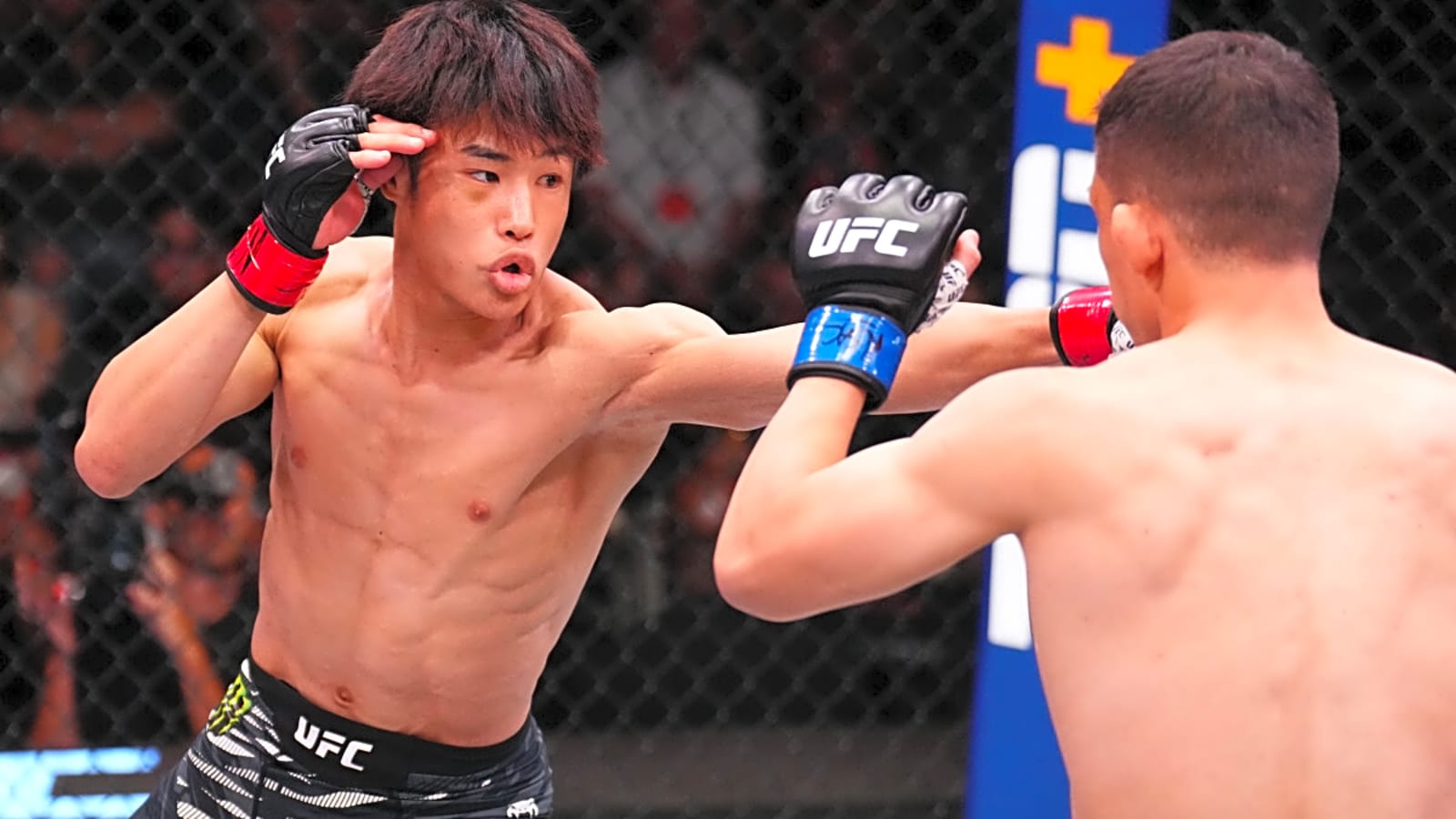 UFC Vegas 108: Taira and Park Lead Main Card Results, Highlights, Reactions, and Bonuses